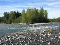 The confluence with the Muskwa (152kb)